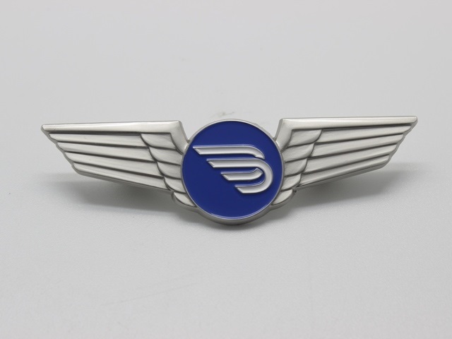 Pilot Wing Badge