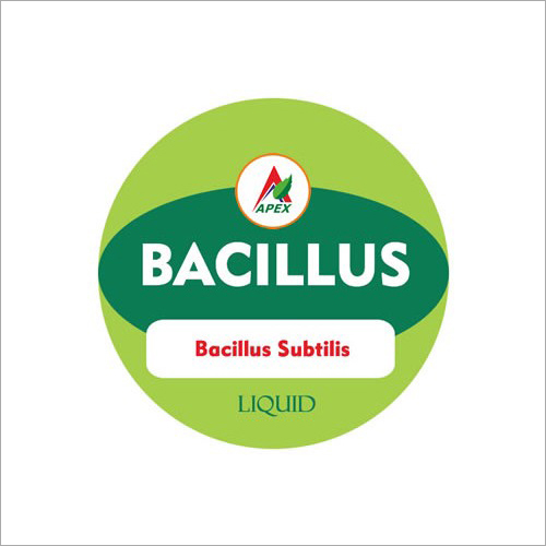 Bacillus Subtilis Fertilizer By APEX AGRO INDUSTRIES