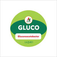 Fertilizante de Gluconoacetobactor