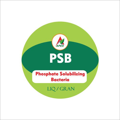 Phosphate Solubilizing Bacteria Fertilizer By APEX AGRO INDUSTRIES