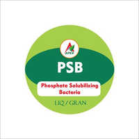 Phosphate Solubilizing Bacteria Fertilizer