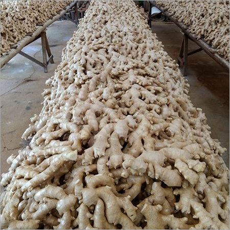 Dry Ginger