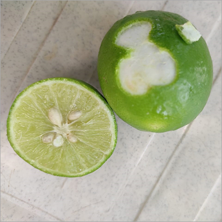 Sweet Lemon
