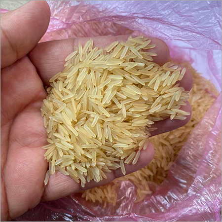 1121 Golden Rice