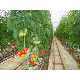 Coco Peat Grow Bags