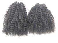 Wholesale Price Top Quality Virgin Remy Curly Hair Extensions