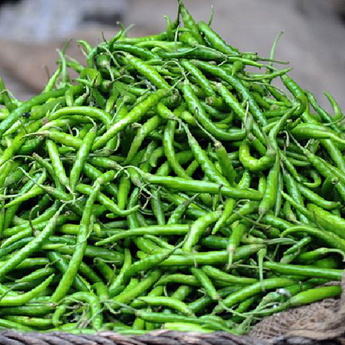 Green Chilli