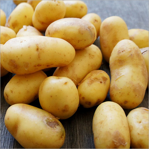 Fresh Potatoes