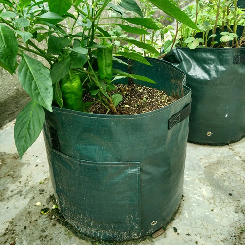 Plastic Grow Bag