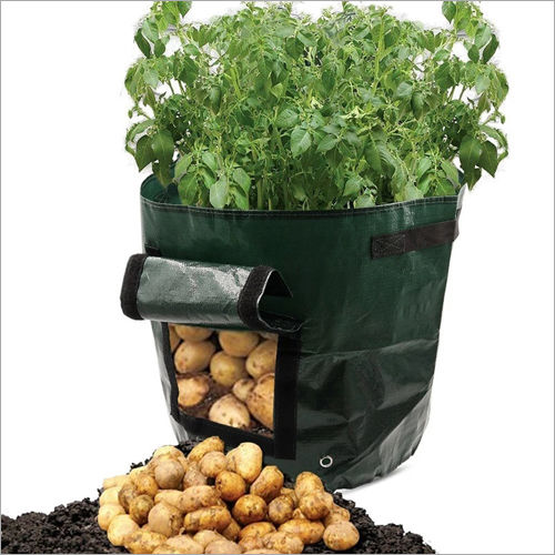 Plastic Grow Bag