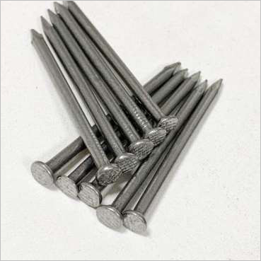 High Quality Steel Wire Nails By ALIYA TRADING S.L