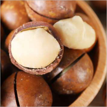 Fresh Macadamia Nuts