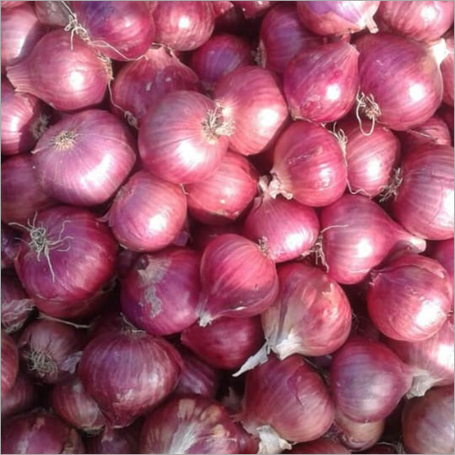 Fresh Onion - Natural Shape, Small, Medium & Large Sizes | Long Shelf Life of 6-7 Days, Safe Quality Packaging Choices