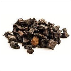 Foti Extract