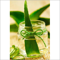 Aloevera Oily