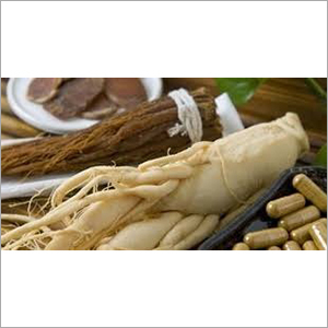 Panax Ginseng Root Extract By KUBER IMPEX LTD.