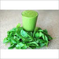 Spinach Extract