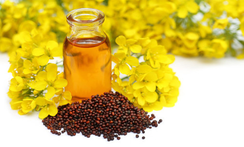 Mustard oil
