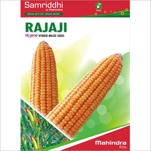 Rajaji Hybrid Maize Seeds