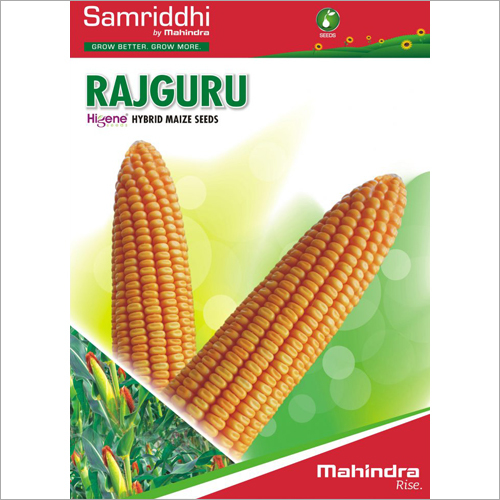 Rajguru Hybrid Maize Seeds