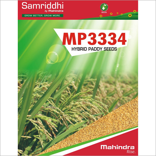 MP 3334 Hybrid Paddy Seeds