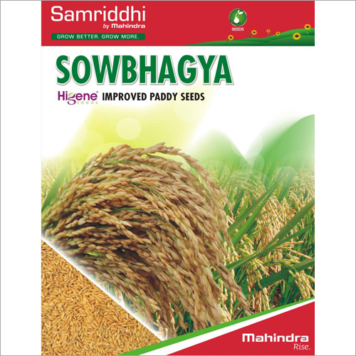 Sowbhagya Improved Paddy Seeds