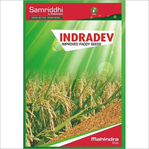 Improved Paddy Seeds