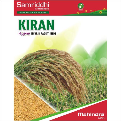 Hybrid Paddy Seeds