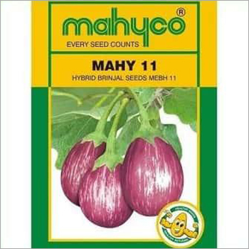 Hybrid Brinjal Seeds