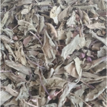 Dry Neem Leaf - Organic Dried Leaves | Ideal for Flavoring Indian Cuisines, Airtight Packaging for Freshness