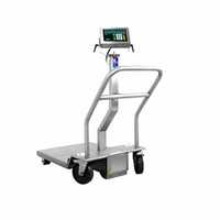 Trolley Weighing Scale