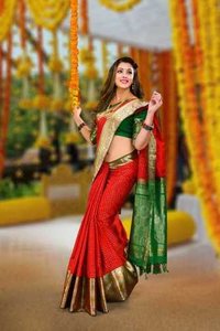 Classical pattu saree