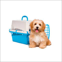 Pet Animal Air Imports And Exports By WE WIN INTERNATIONAL SHIPPING AND LOGISTICS