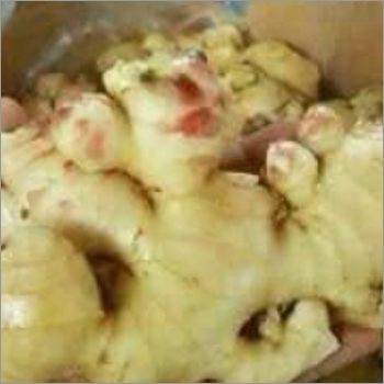 Fresh Ginger