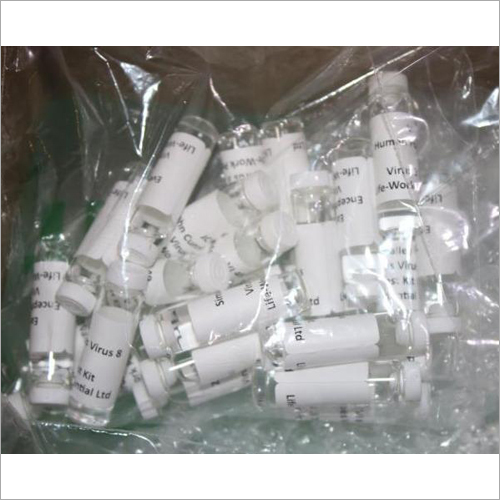 Corona Virus Test Kit