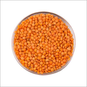 Indian Pulses