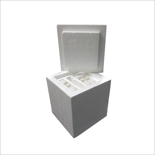 Cold Chain Thermocol Box By NIRAJ THERMOCOLS & ELECTRICALS PVT LTD