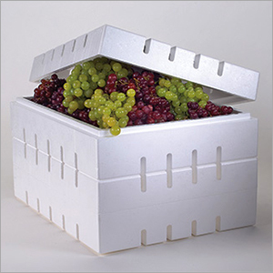 9.2 Kg Grapes Thermocol Box