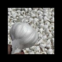 Fresh White Garlic