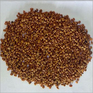 Organic Turmeric TBC Seeds