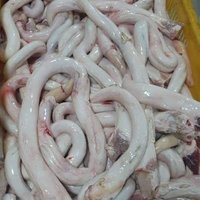 Bull Frozen pizzle