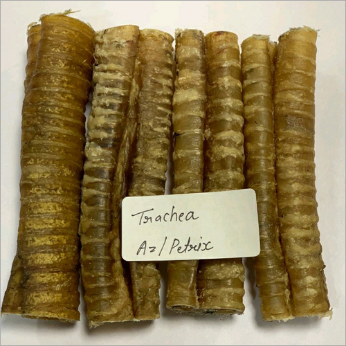 Buffalo Trachea