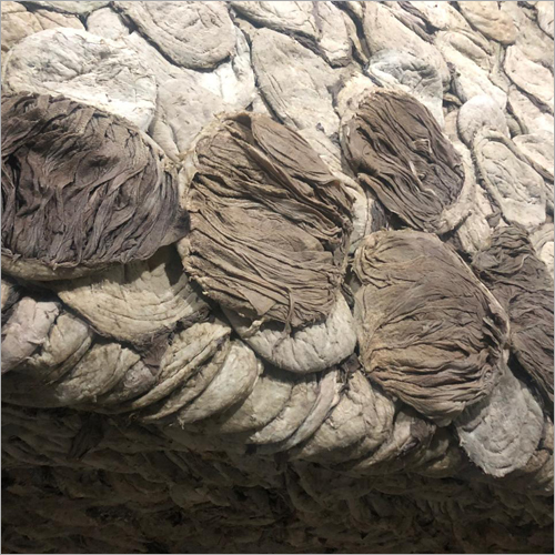 Buffalo Omasums