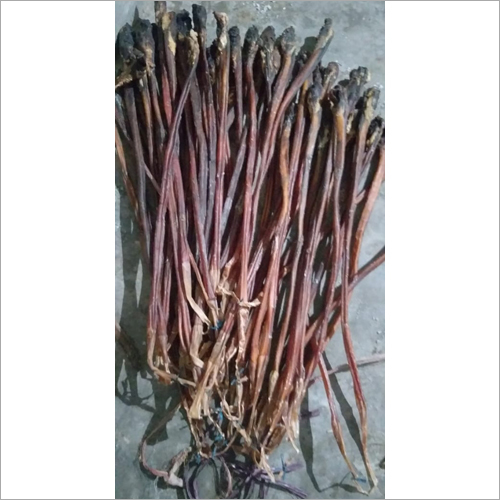 Buffalo Dried Pizzled