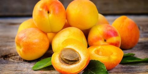 Apricot Liquid Extract - Prunus Armeniaca