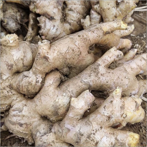 Organic Ginger