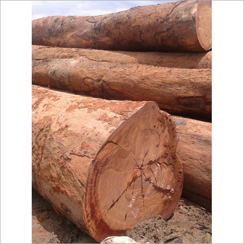 Azobe Wooden Log