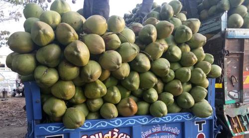 Natural Green Tender Coconut