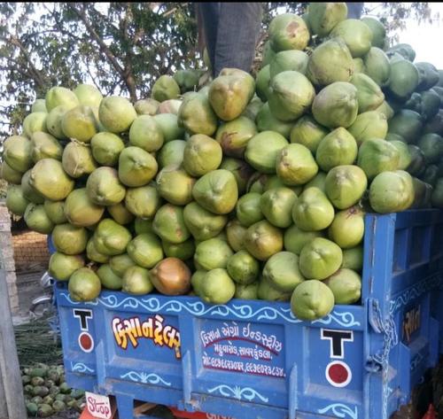 Green Fresh Tender Coconut