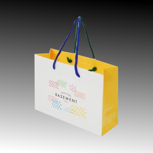 Fashion Carry Bags